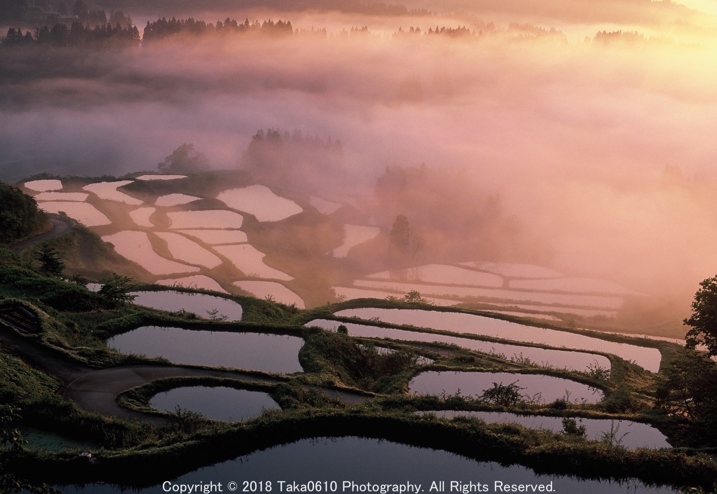 リバーサルフィルム Velvia で風景写真を撮ってみた！感想とレビュー