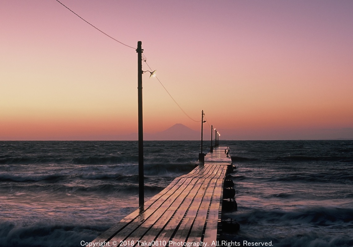 大判フィルム 4×5 ベルビアF プロビア100F シートフィルム】プロビア100F 4×5インチ 20枚入 富士フイルム